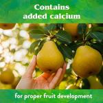 All Natural Organic Fertilizer for Fruit Trees