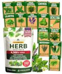 15 Culinary Herb Seeds - Heirloom Non-GMO Seeds