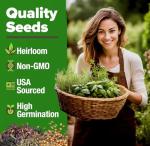 15 Culinary Herb Seeds - Heirloom Non-GMO Seeds
