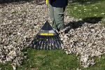 True Temper Clog-Free Poly Leaf Rake, 24-Inch
