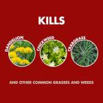 Spectracide Weed Killer with AccuShot Sprayer, 1.33 Gallons