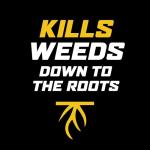 Ortho WeedClear Lawn Weed Killer Spray, 32 oz