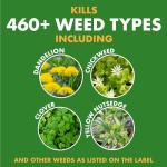 Spectracide Ready-to-Spray Weed Stop for Lawns