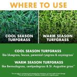 Spectracide Ready-to-Spray Weed Stop for Lawns