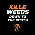 Ortho WeedClear Ready-To-Spray Lawn Weed Killer