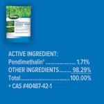 Garden Hose Reel with 150 Feet Capacity