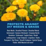 BioAdvanced Weed and Crabgrass Killer Concentrate, 40 oz