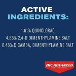 BioAdvanced Weed and Crabgrass Killer Concentrate, 40 oz