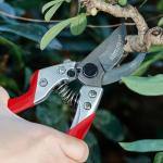 Kimura® 8" Heavy Duty Pruning Shears