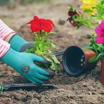 Kids Gardening Gloves - 3 Pairs for Ages 3-5