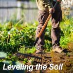 Heavy Duty 14-Tine Garden Rake with Fiberglass Handle