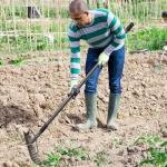 Heavy Duty 49'' Bow Rake with Stainless Steel Handle