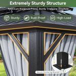 Aoxun 10x12 Hardtop Gazebo with Netting & Curtains