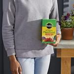 Miracle-Gro All Purpose Plant Food 3 lbs