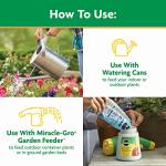 Miracle-Gro All Purpose Plant Food 3 lbs