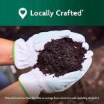 Miracle-Gro Organic Potting Mix for Containers, 16 qt