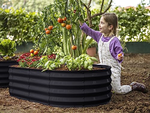 Tool-Free Assembly Galvanized Raised Garden Bed, 4×2 ft