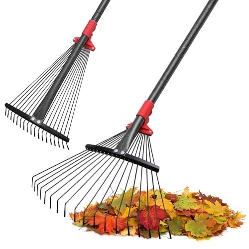 Fall Yard Cleanup