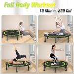 Foldable Mini Trampoline for Indoor Fitness Fun