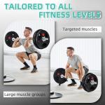 95 lbs Cast Iron Weight Plates with Barbell Set