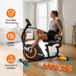 Quiet Recumbent Exercise Bike with Adjustable Seat