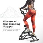 Sunny Health & Fitness Stair Stepper with Handlebar