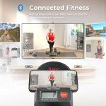 Sunny Health & Fitness Stair Stepper with Handlebar
