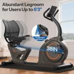 Niceday Magnetic Recumbent Exercise Bike for Home