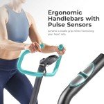 Sunny Health & Fitness Stair Stepper with Handlebar