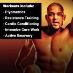 INSANITY Base Kit - 60-Day Bodyweight Workout DVDs