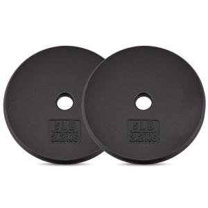 Yes4All 1-Inch Cast Iron Weight Plates, Set of 2