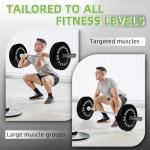 Fitvids Olympic Bumper Plates Set, 260LB Total