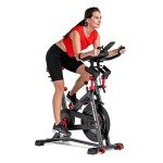 Schwinn IC4 Indoor Cycling Bike for Home Workouts