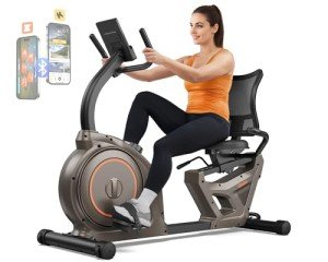 Niceday Magnetic Recumbent Exercise Bike for Home
