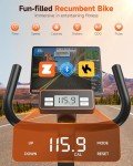 Niceday Magnetic Recumbent Exercise Bike for Home