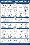 Dumbbell Workout Exercise Poster for Home Gyms