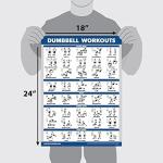Dumbbell Workout Exercise Poster for Home Gyms