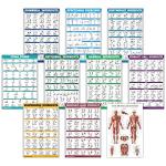 10 Pack Exercise Workout Posters for Home Gym