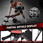 Adjustable Weight Bench for Full Body Workouts