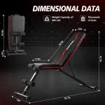 Adjustable Weight Bench for Full Body Workouts