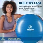 ProBody Pilates Balance Ball - Gym Grade Fitness Aid