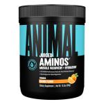 Animal Juiced Amino Acids BCAA Powder, Orange Flavor