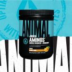Animal Juiced Amino Acids BCAA Powder, Orange Flavor