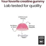 Raspberry Lemonade Creatine Gummies for Energy & Recovery