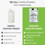 SteelFit Creapure Micronized Creatine Powder, Unflavored