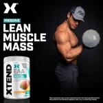 Xtend Scivation Mango EAA + BCAA Powder 40 Servings
