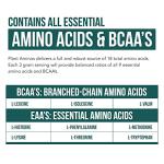 Plant-Based Essential Amino Acid Supplement - 360 Tablets