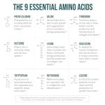 Plant-Based Essential Amino Acid Supplement - 360 Tablets