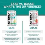 Xtend EAA + BCAA Powder - Blood Orange Flavor