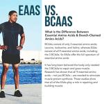 Plant-Based Essential Amino Acid Supplement - 360 Tablets